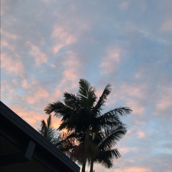 Meet your Posher, Taya - Picture 2 of 3